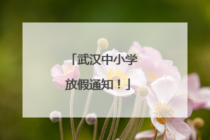 武汉中小学放假通知！