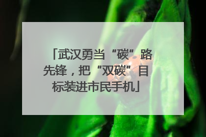 武汉勇当“碳”路先锋，把“双碳”目标装进市民手机