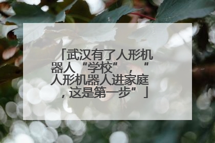 武汉有了人形机器人“学校”，“人形机器人进家庭，这是第一步”