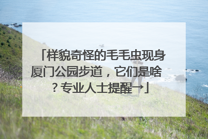 样貌奇怪的毛毛虫现身厦门公园步道，它们是啥？专业人士提醒→