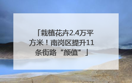 栽植花卉2.4万平方米！南岗区提升11条街路“颜值”