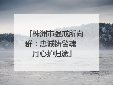 株洲市强戒所向群：忠诚铸警魂 丹心护归途