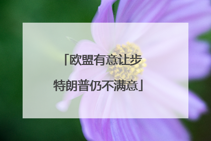欧盟有意让步 特朗普仍不满意