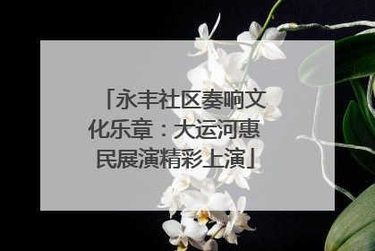 永丰社区奏响文化乐章：大运河惠民展演精彩上演