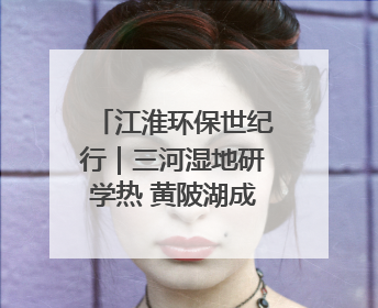江淮环保世纪行｜三河湿地研学热 黄陂湖成鸟类天堂