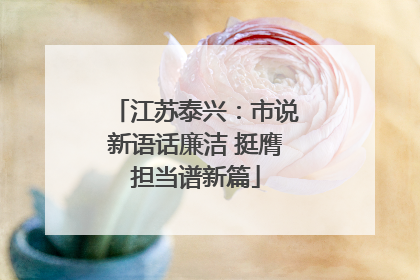 江苏泰兴：市说新语话廉洁 挺膺担当谱新篇