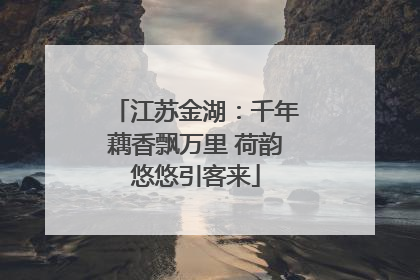 江苏金湖：千年藕香飘万里 荷韵悠悠引客来