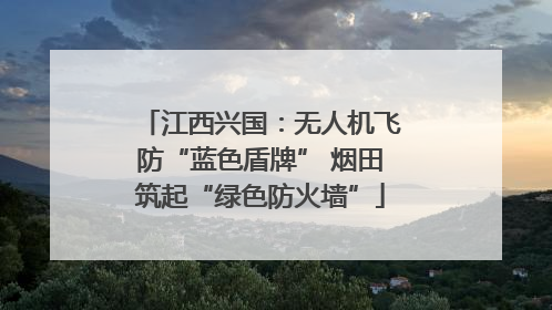 江西兴国：无人机飞防“蓝色盾牌” 烟田筑起“绿色防火墙”