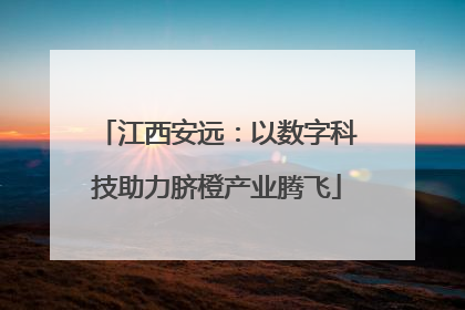 江西安远：以数字科技助力脐橙产业腾飞