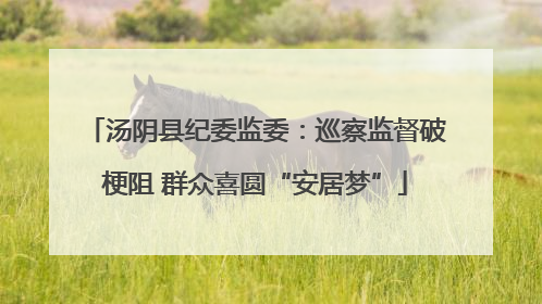 汤阴县纪委监委：巡察监督破梗阻 群众喜圆“安居梦”