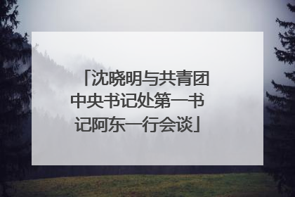 沈晓明与共青团中央书记处第一书记阿东一行会谈