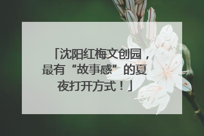 沈阳红梅文创园，最有“故事感”的夏夜打开方式！
