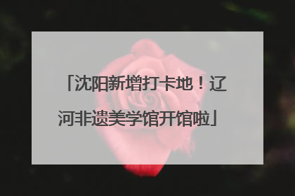 沈阳新增打卡地！辽河非遗美学馆开馆啦