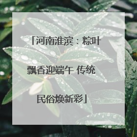 河南淮滨：粽叶飘香迎端午 传统民俗焕新彩