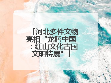 河北多件文物亮相“龙腾中国：红山文化古国文明特展”