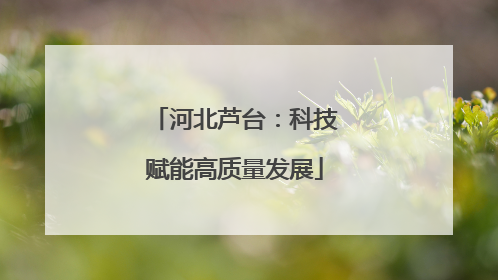 河北芦台：科技赋能高质量发展