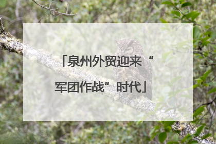 泉州外贸迎来“军团作战”时代