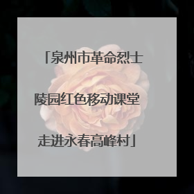 泉州市革命烈士陵园红色移动课堂走进永春高峰村