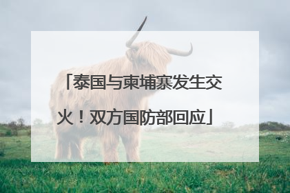 泰国与柬埔寨发生交火！双方国防部回应