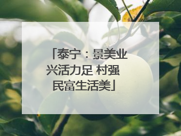 泰宁：景美业兴活力足 村强民富生活美