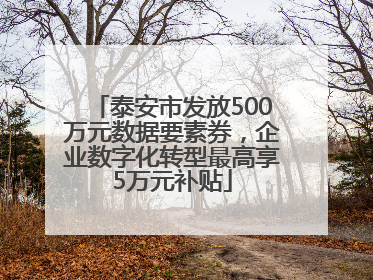泰安市发放500万元数据要素券，企业数字化转型最高享5万元补贴