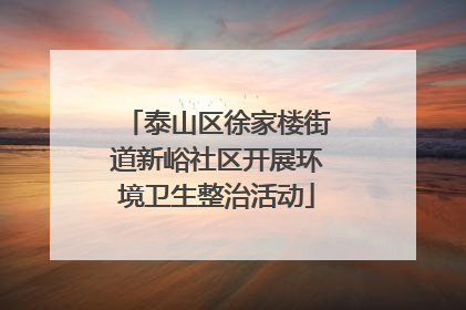 泰山区徐家楼街道新峪社区开展环境卫生整治活动