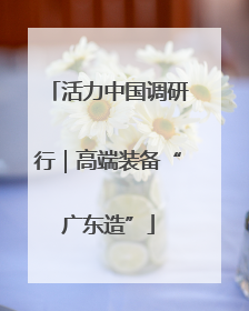 活力中国调研行｜高端装备“广东造”