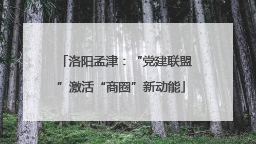 洛阳孟津：“党建联盟”激活“商圈”新动能