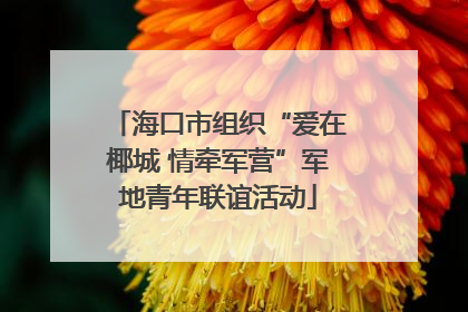 海口市组织“爱在椰城 情牵军营”军地青年联谊活动