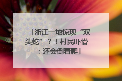 浙江一地惊现“双头蛇”？！村民吓懵：还会倒着爬