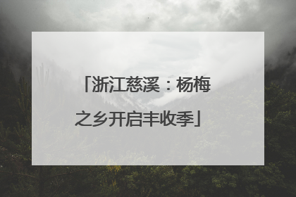 浙江慈溪：杨梅之乡开启丰收季