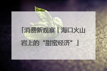 消费新观察丨海口火山岩上的“甜蜜经济”