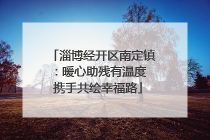 淄博经开区南定镇：暖心助残有温度 携手共绘幸福路