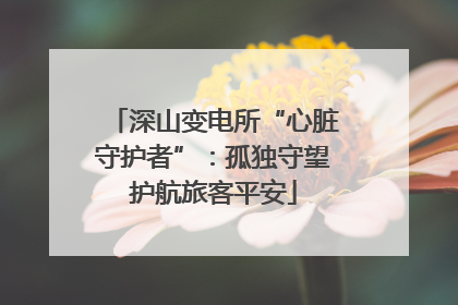 深山变电所“心脏守护者”：孤独守望护航旅客平安