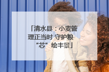 清水县：小麦管理正当时 守护粮“芯”绘丰景