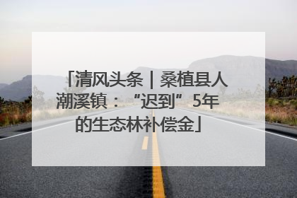 清风头条｜桑植县人潮溪镇：“迟到”5年的生态林补偿金