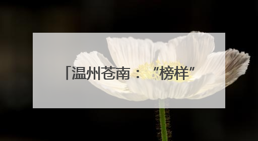 温州苍南：“榜样”成“邻里” 为乡村振兴注入好人力量