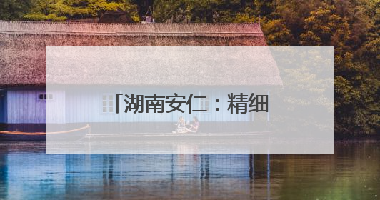 湖南安仁：精细治理靓“颜值” 规范有序增活力
