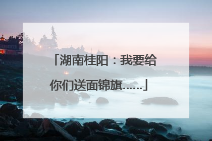 湖南桂阳：我要给你们送面锦旗……