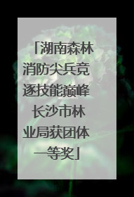 湖南森林消防尖兵竞逐技能巅峰 长沙市林业局获团体一等奖