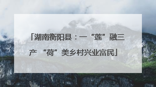 湖南衡阳县：一“莲”融三产 “荷”美乡村兴业富民