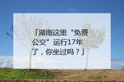 湖南这里“免费公交”运行17年了，你坐过吗？