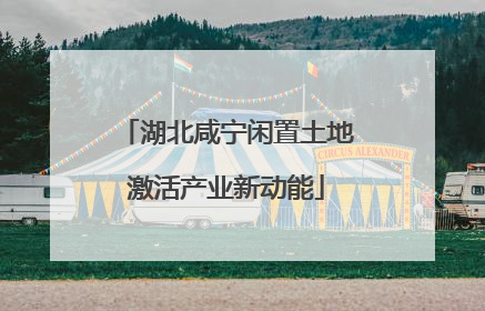 湖北咸宁闲置土地激活产业新动能