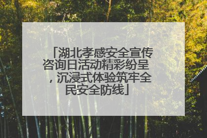湖北孝感安全宣传咨询日活动精彩纷呈，沉浸式体验筑牢全民安全防线