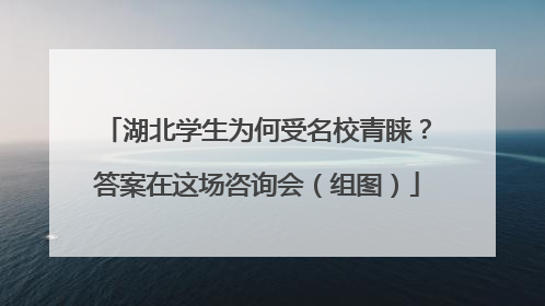 湖北学生为何受名校青睐？答案在这场咨询会（组图）