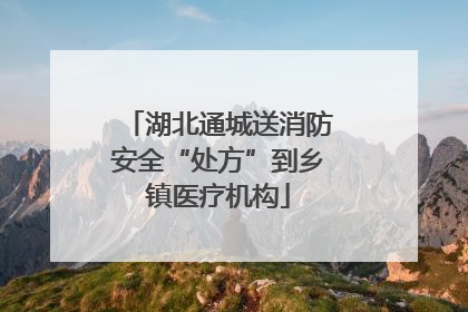 湖北通城送消防安全“处方”到乡镇医疗机构