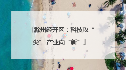滁州经开区：科技攻“尖” 产业向“新”