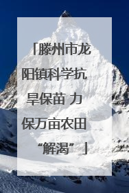 滕州市龙阳镇科学抗旱保苗 力保万亩农田“解渴”