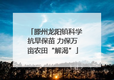 滕州龙阳镇科学抗旱保苗 力保万亩农田“解渴”