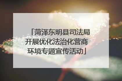 菏泽东明县司法局开展优化法治化营商环境专题宣传活动